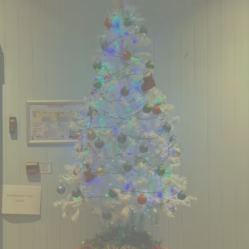 Chritsmas in July