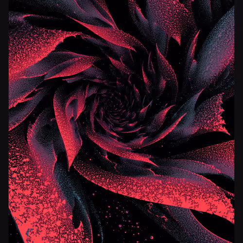 CONTORTIONS By Tristan Rettich