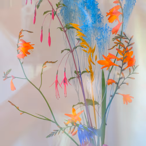 - CRYPTOFLORA ~