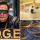 doge & musk