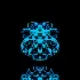 INVADERS