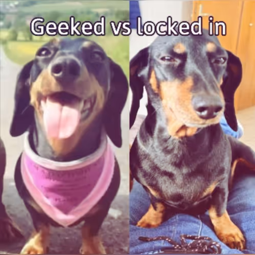 lockindoggerzzz
