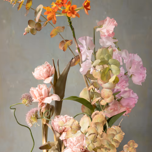 - Still Life -