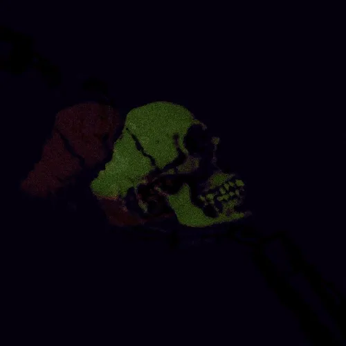 _NotACK_ collabs