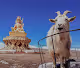 Tibet: In Search of Shangri-La by Michael Yamashita