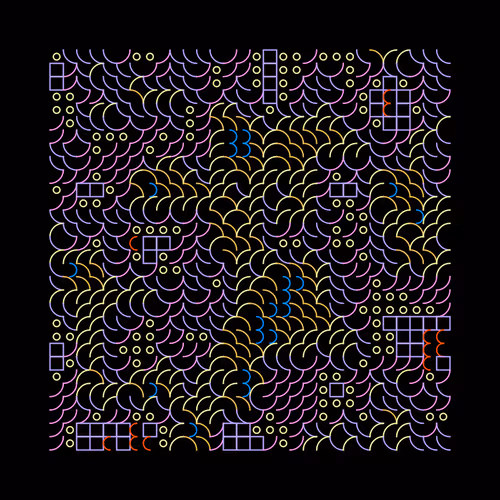 Flow Fields