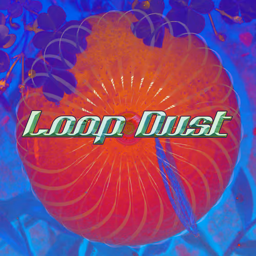Loop Dust
