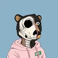Anatomy Okay Bears