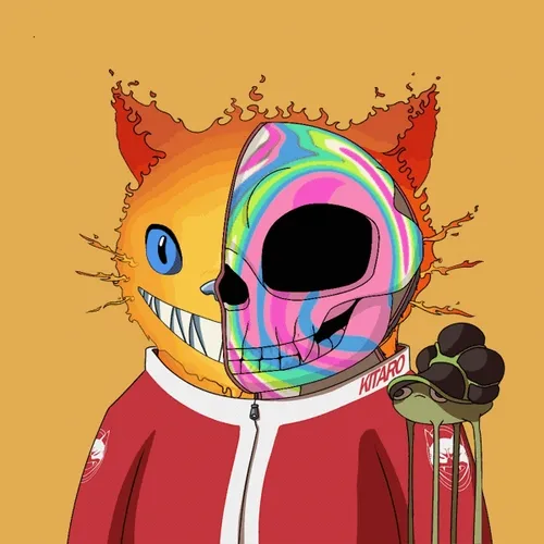 Kitaro Anatomy