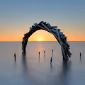 Second Origin II