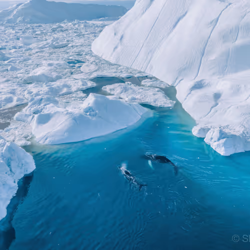 Into the Ice Fjord