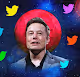 Elon Musk Twitter Pass - old V2