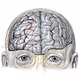 NeuralVision by WetPotatoBrain