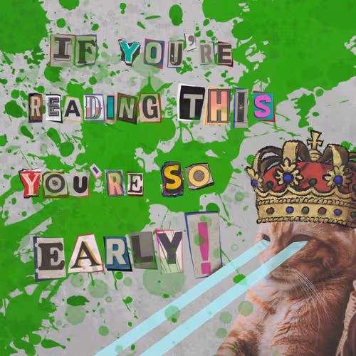 The Meme Diaries