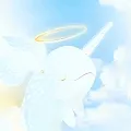NiftyNarwhals