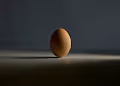 chicken.photos - The Egg