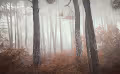 Lost At Last by Louis Iruela