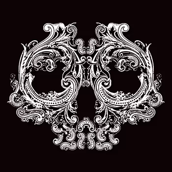 Skull a Day