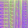 Synesthesia Collective