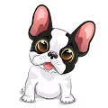 SparklesDogs