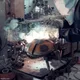 Animal metal art