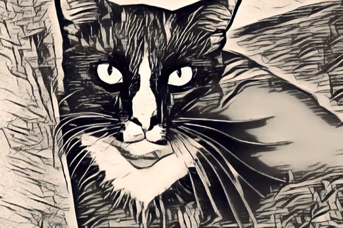 Item #108427181000428790464125902140314011053041575457259647097415901476283899445278 Media