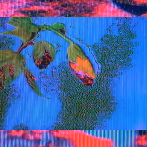 virtual floriculture