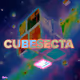 CubeSecta