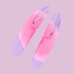 Item Media