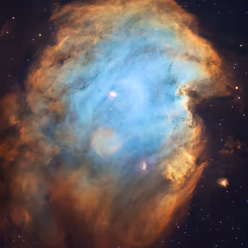 Star Flower V2 - old