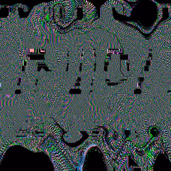 X0X