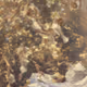 Ethernity