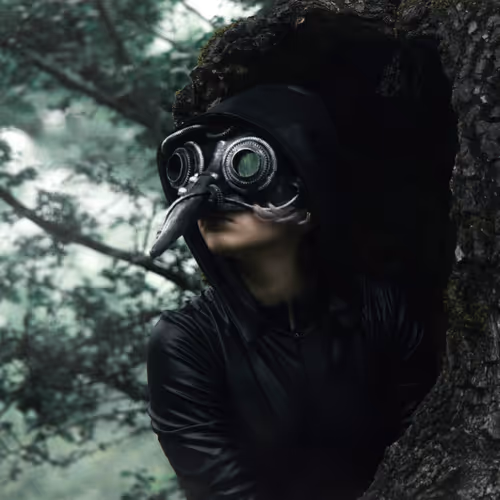 reborn raven