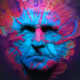 EMERGENCE2