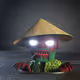 5207