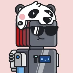 Roboto Helmeto #2503