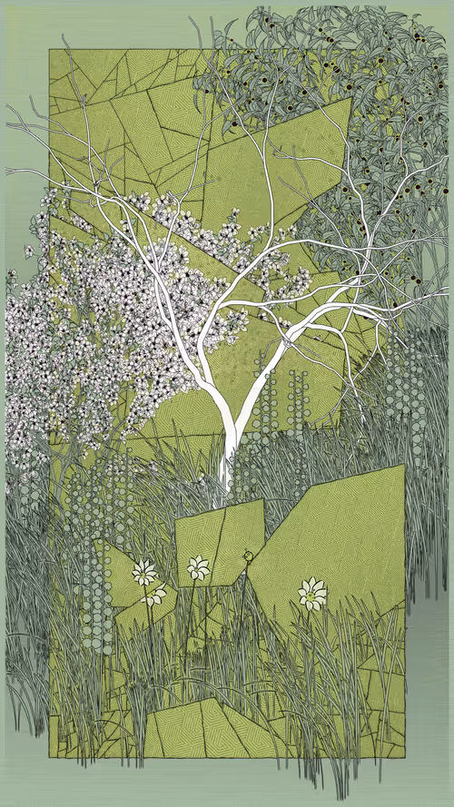 Item #52000042 Media