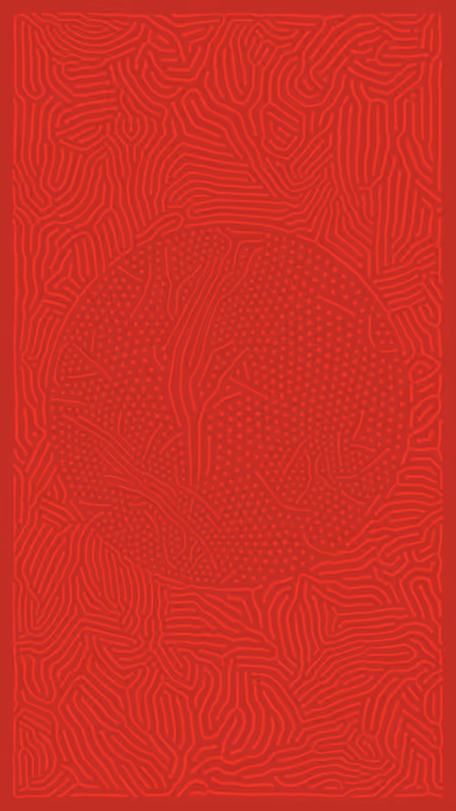 Item #50000098 Media