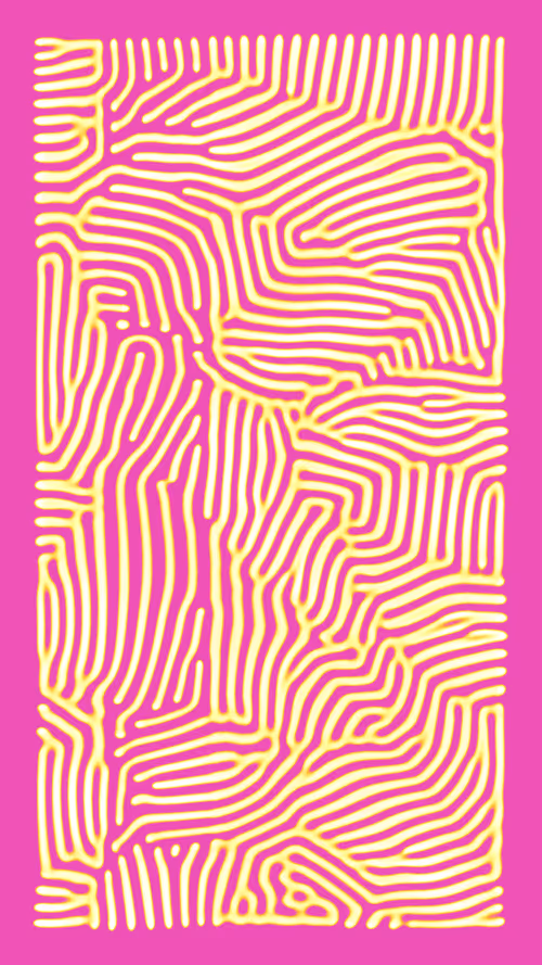 Item #50000096 Media