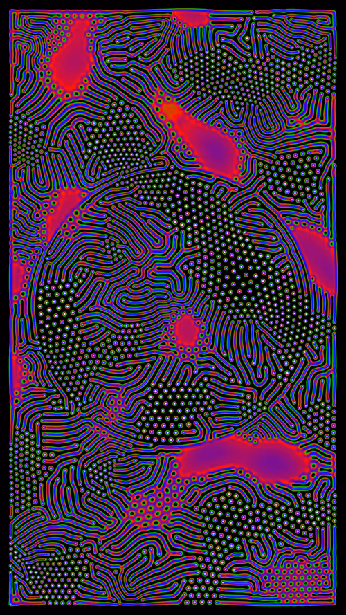 Item #50000031 Media