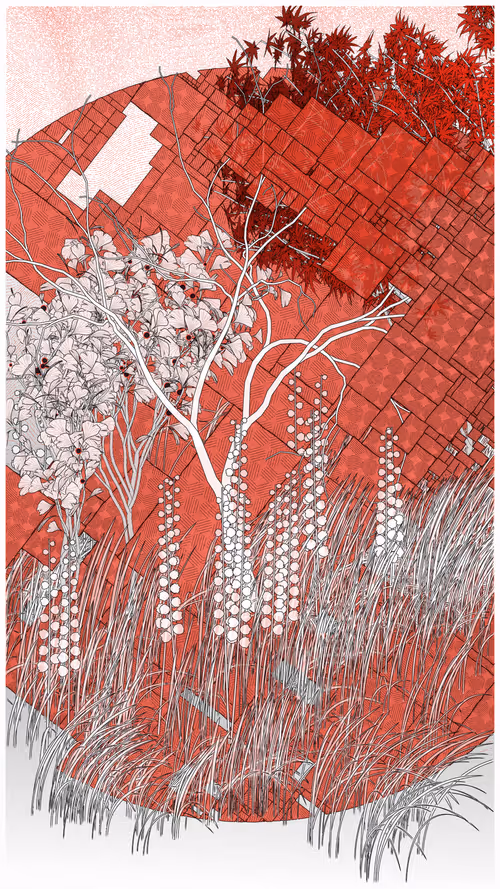 Item #52000096 Media