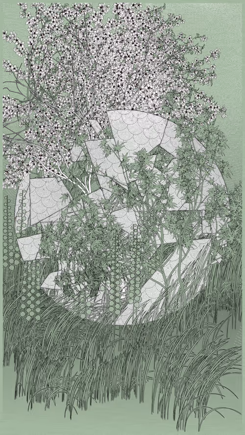 Item #52000008 Media