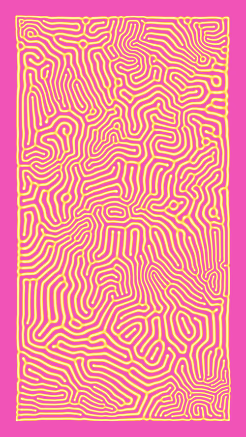 Item #50000011 Media