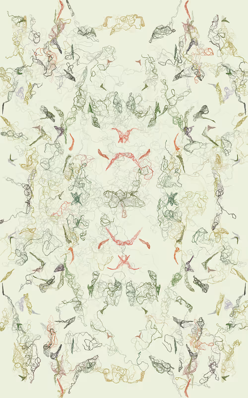 Item #16000080 Media