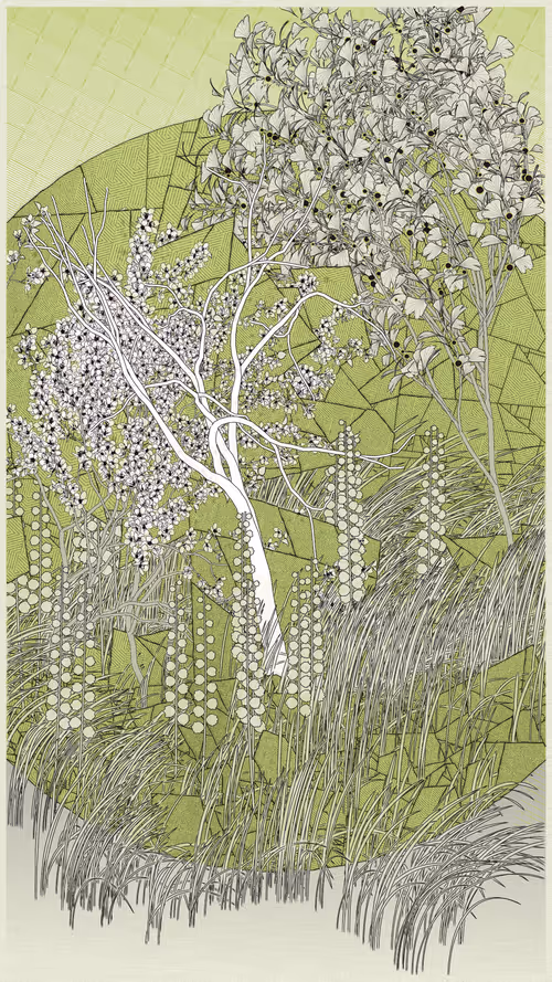 Item #52000037 Media