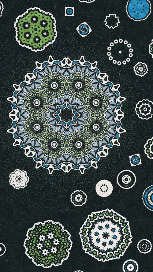 Item #81000076 Media