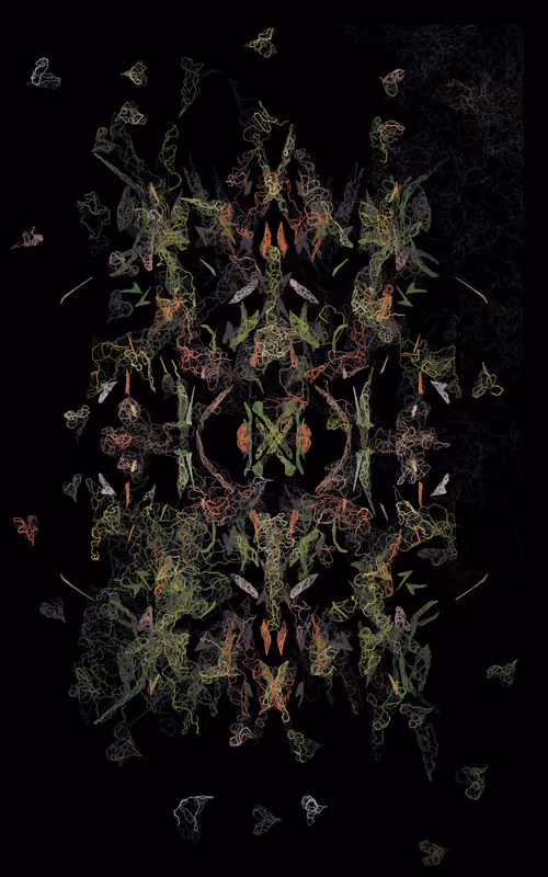 Item #16000298 Media