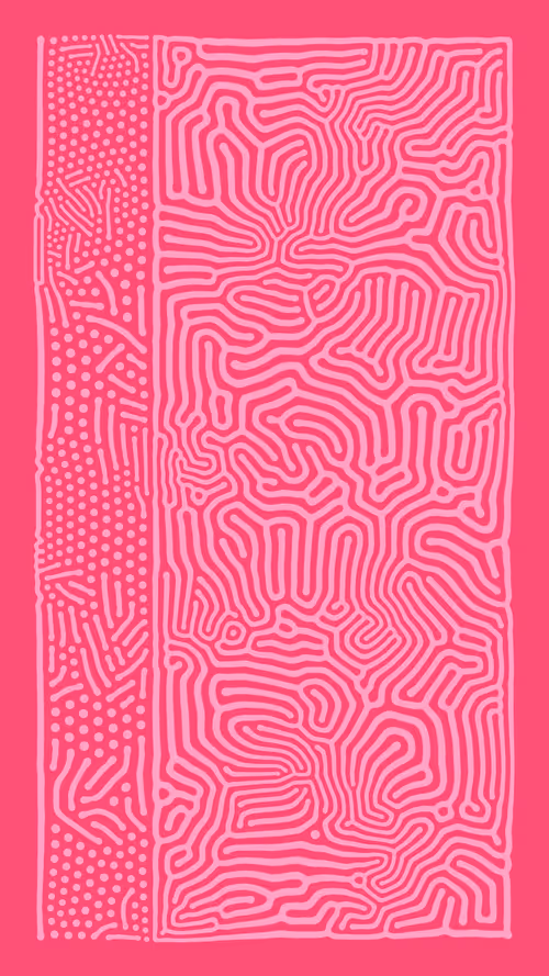 Item #50000095 Media