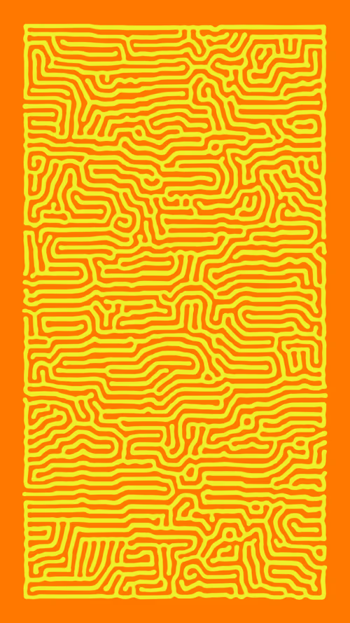 Item #50000080 Media