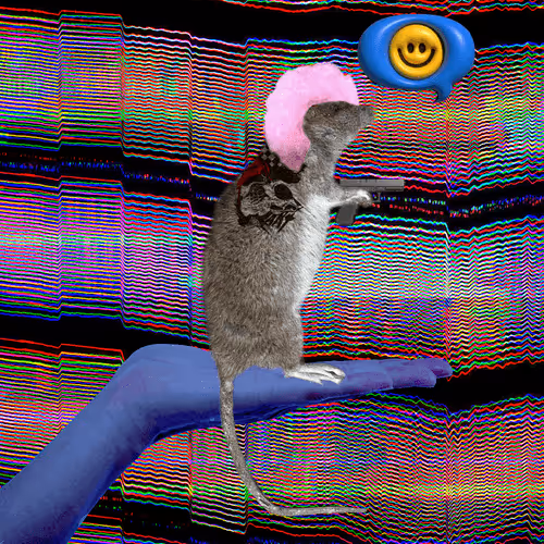 Item Media